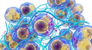 3D medical illustration of adipose tissue and lipolytic process